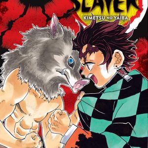 Demon Slayer: Kimetsu no Yaiba Vol-1-5 Books Collection set Paperback – January 1, 2019