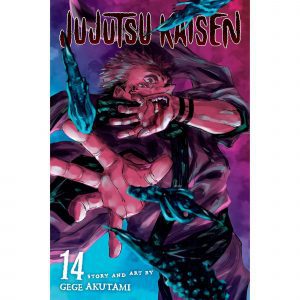 Jujutsu Kaisen, Vol. 14 (14) Paperback – by Gege Akutami