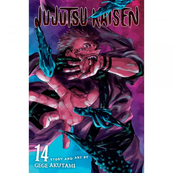 Jujutsu Kaisen, Vol. 14 (14) Paperback – by Gege Akutami